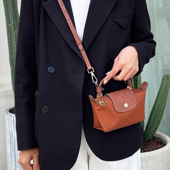 LONGCHAMP – Premium Women Bag with Complete Packaging (Brown)