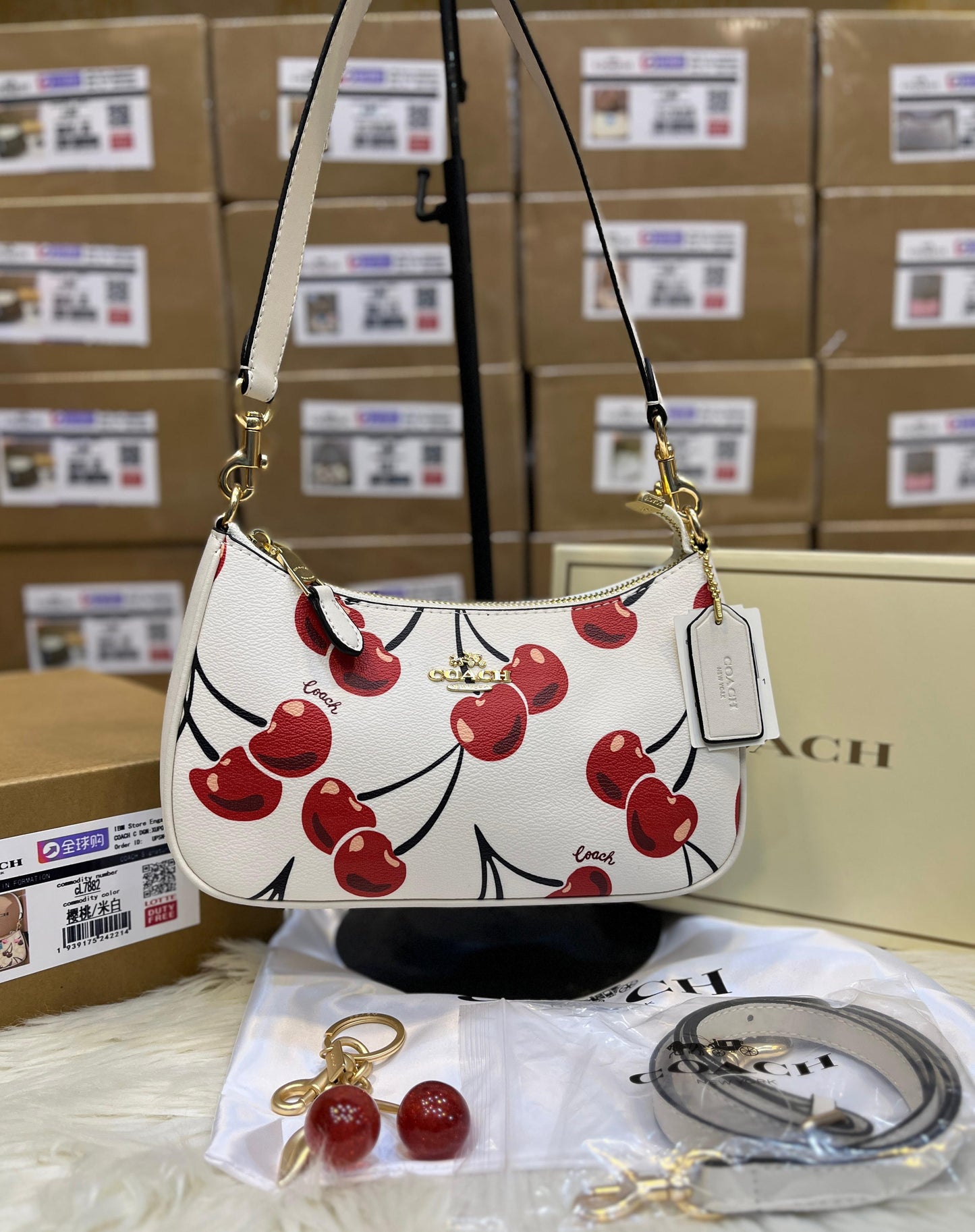 C-O-A-C-H Teri Shoulder Women Bag in Signature Canvas (Fruit Design White)