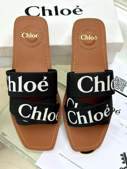 Chloé-Inspired Flats – Available in 3 Beautiful Colors (Black)