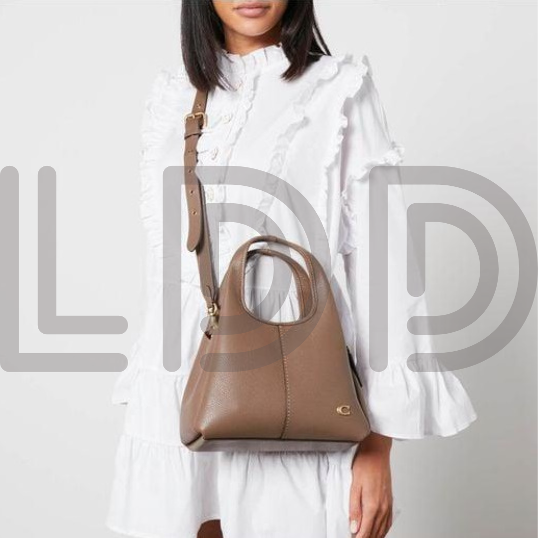 C LANA – Super Premium Quality Handbag (Brown-1)