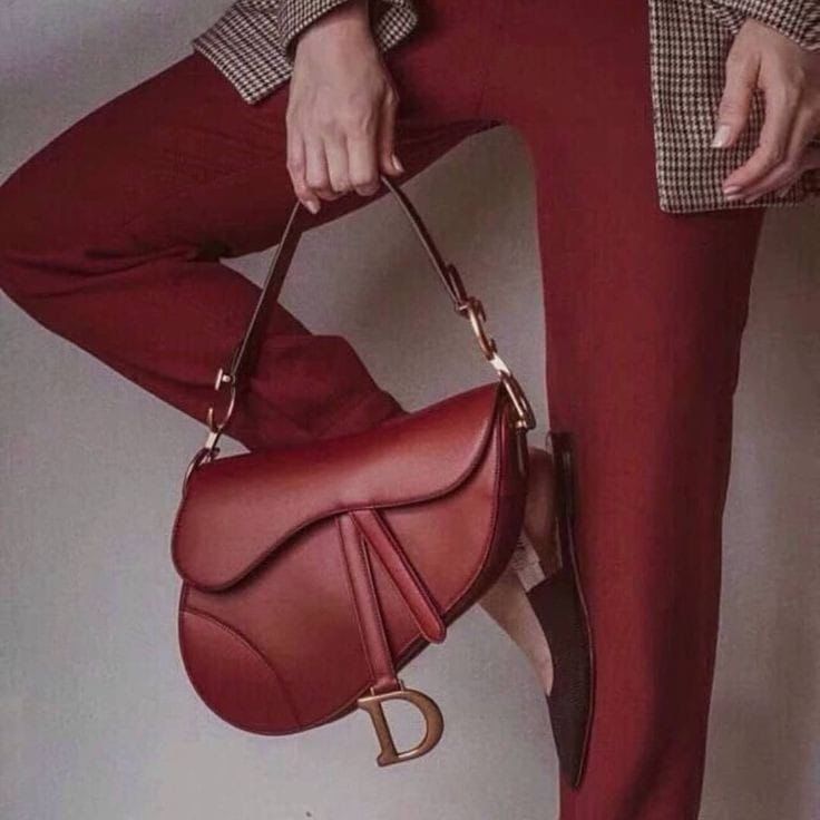 DIOR Women's Saddle Bag with Strap (Maroon/Red)