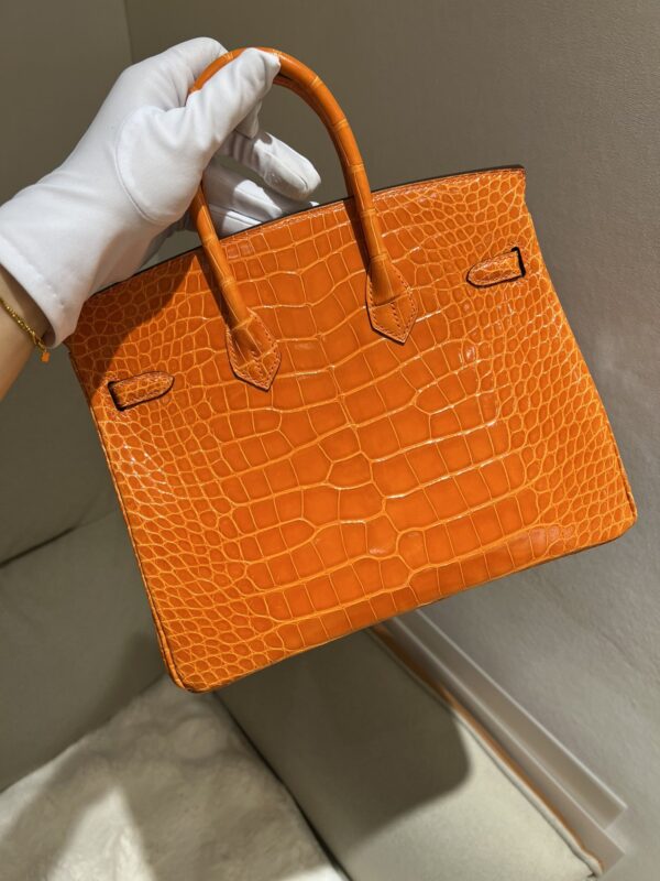 Hermes Birkin 25 Leather Gold Hardware Handbag Bag for Women (Orange Shine)