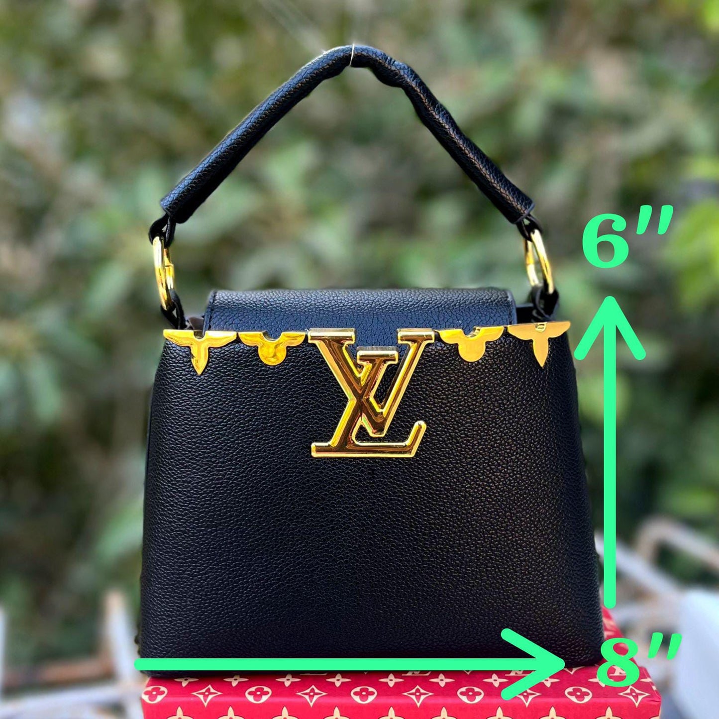 Louis Vuitton Mini Capucines Handbag with Long Belt (black)