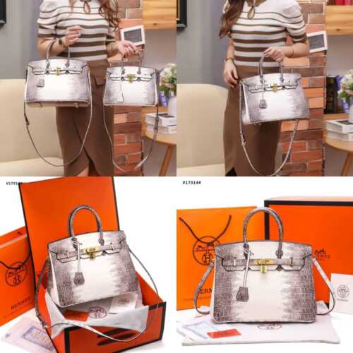 Hermes Birkin 25 Leather Gold Hardware Handbag Bag for Women (White/Grey)