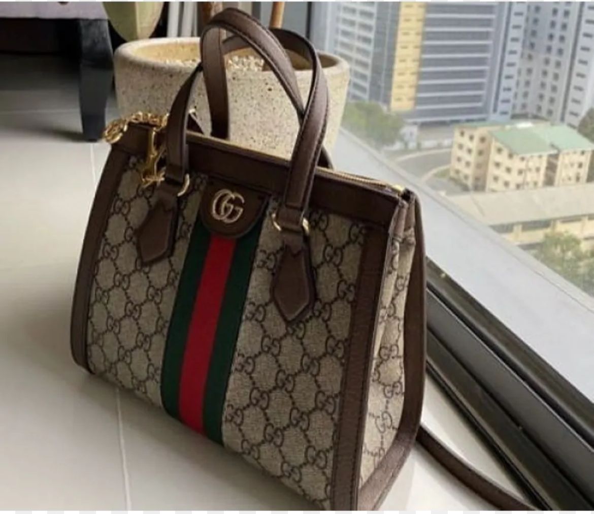 Gucci Master Quality Women's Bag with Long Belt and Brand Accessories (Brown)