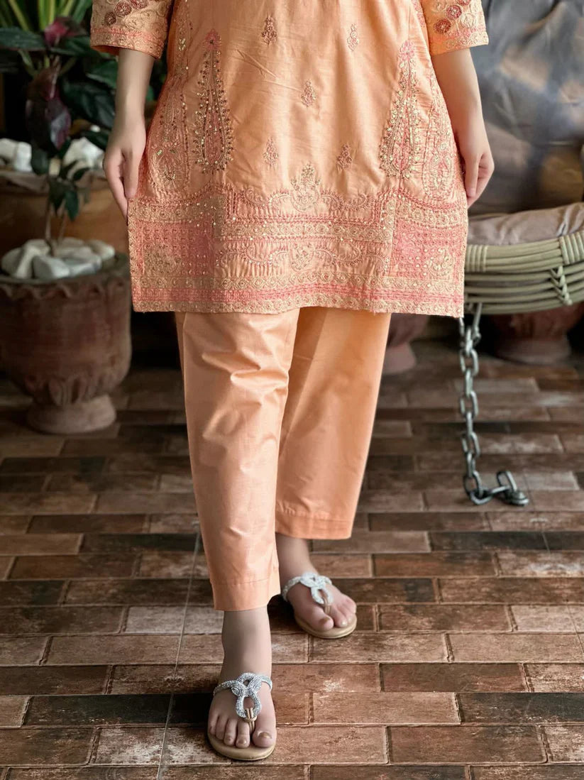 " DILARA " 2Pcs Stitched Embroidered (Light Peach)