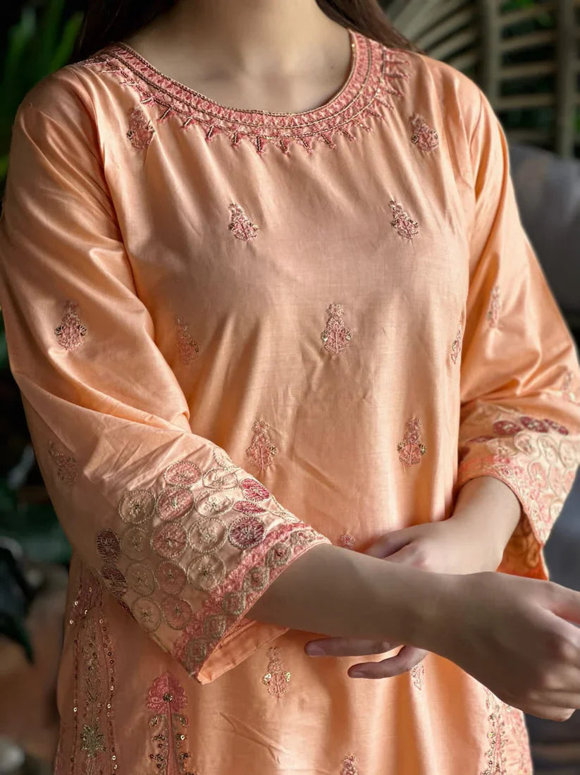 " DILARA " 2Pcs Stitched Embroidered (Light Peach)