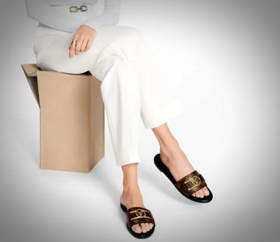 LOUIS VUITTON-Inspired Flat Slippers – Premium Women Footwear with Brand Box(Brown 1)