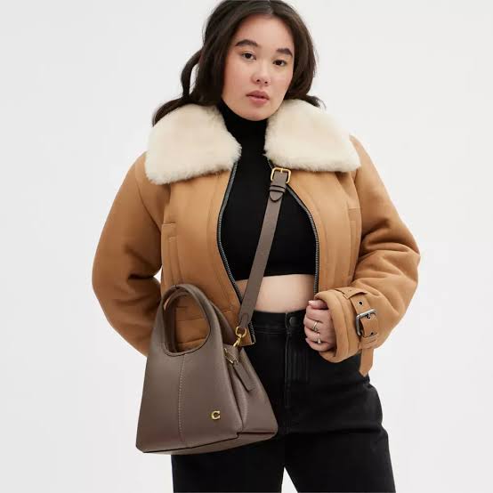 C LANA – Super Premium Quality Handbag (Brown-1)