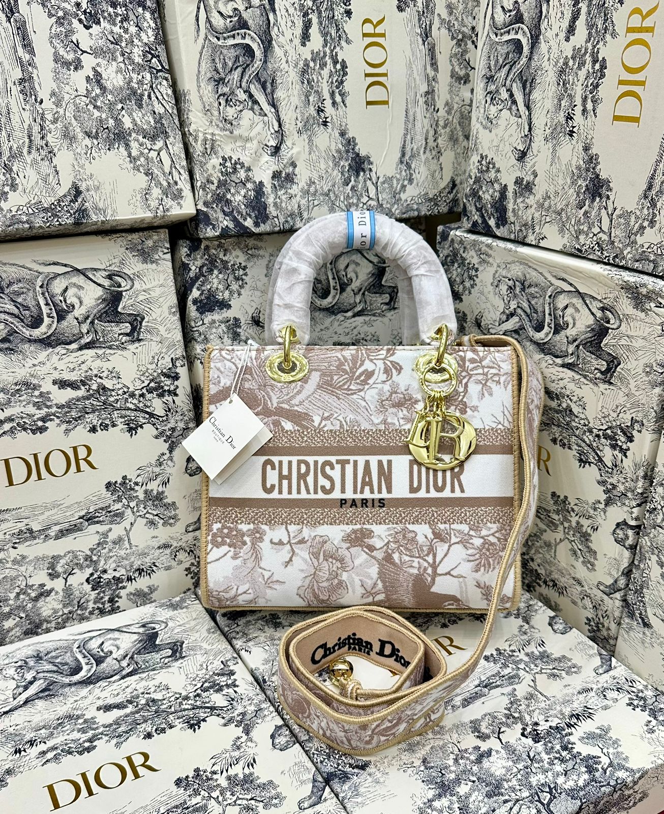 LADY DIOR – Women Luxury Bag AAA Quality (Beige/White)