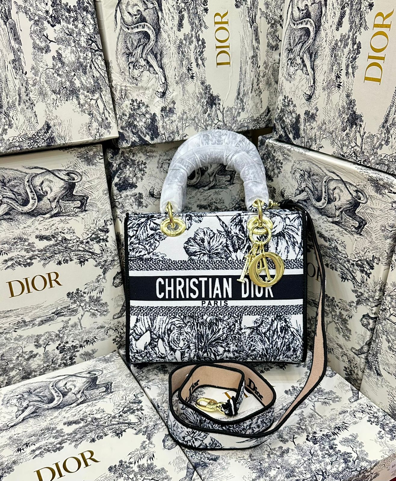 LADY DIOR – Women Luxury Bag AAA Quality (Black)