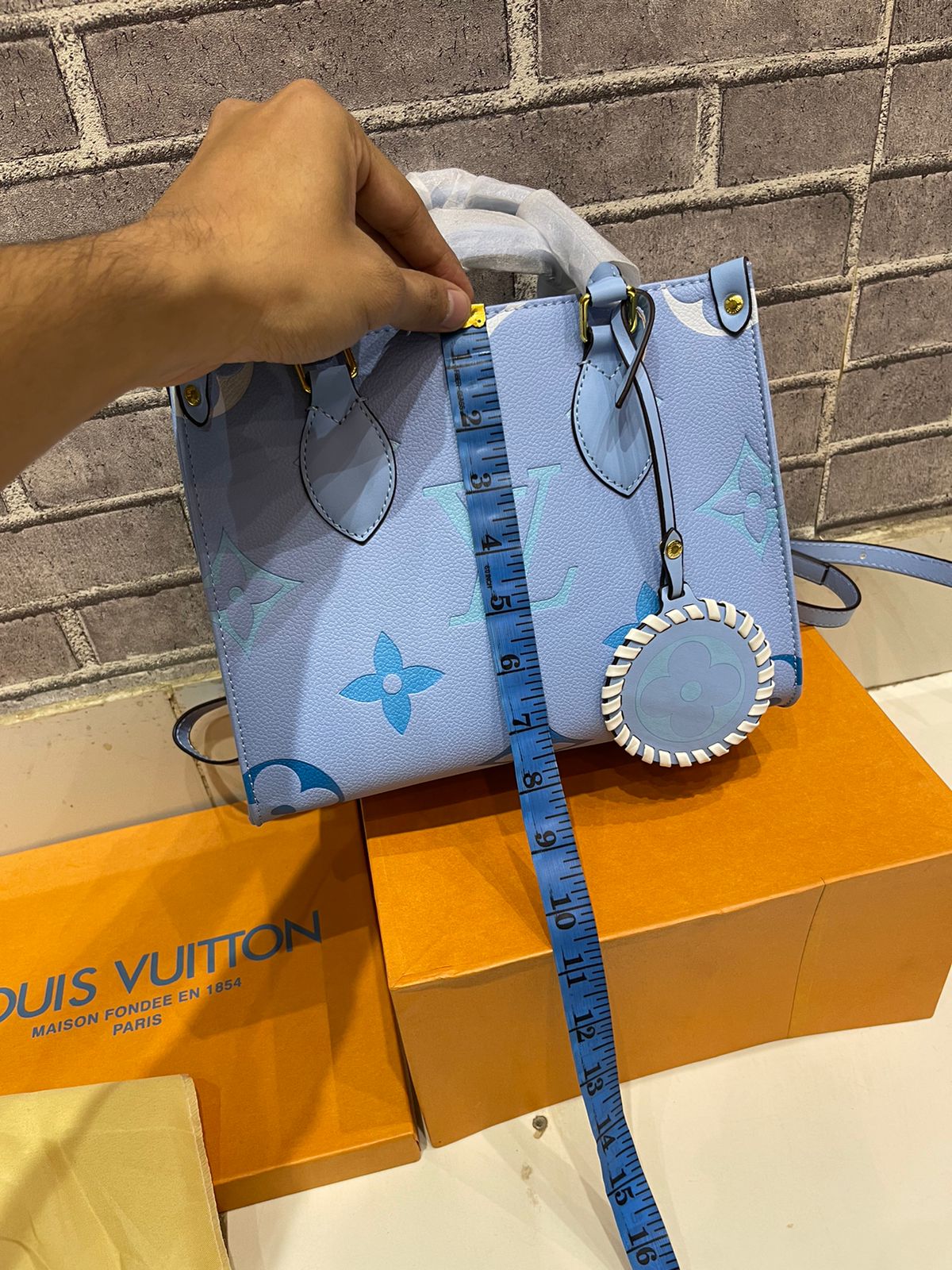 LOUIS VUITTON ONTHEGO PM BLUE – Women Tote Bag (Sky Blue)