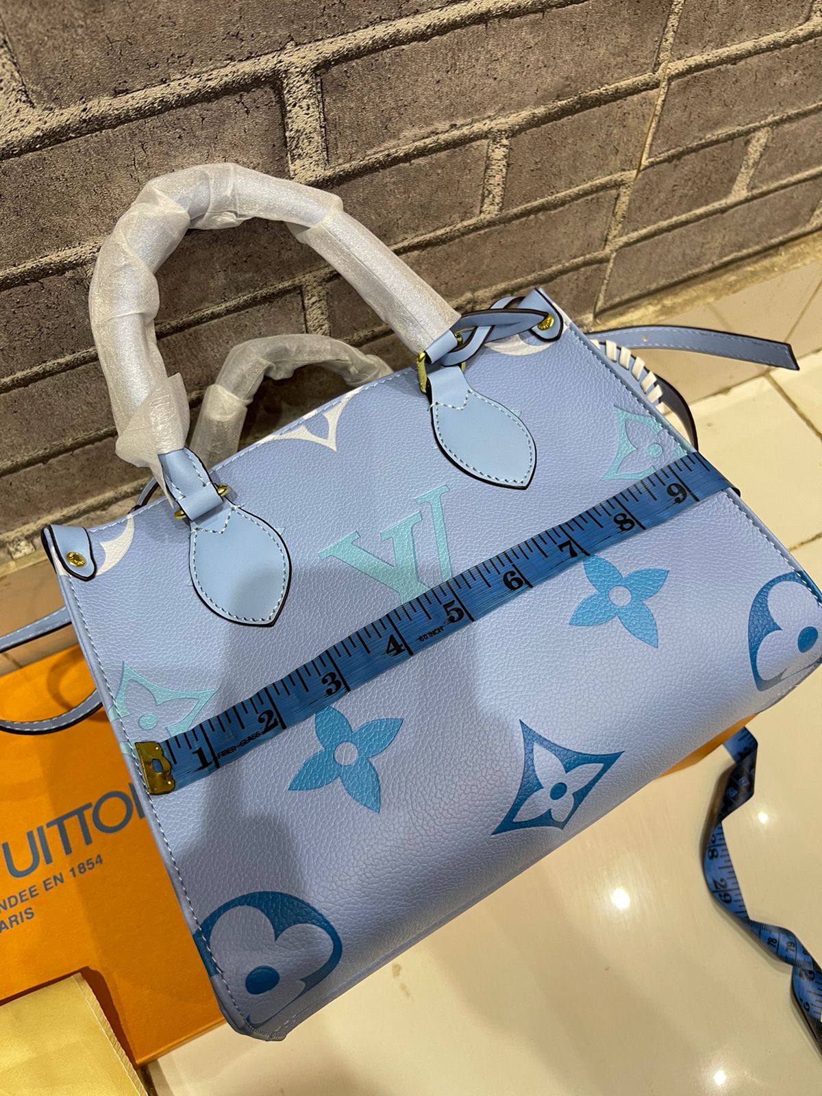 LOUIS VUITTON ONTHEGO PM BLUE – Women Tote Bag (Sky Blue)