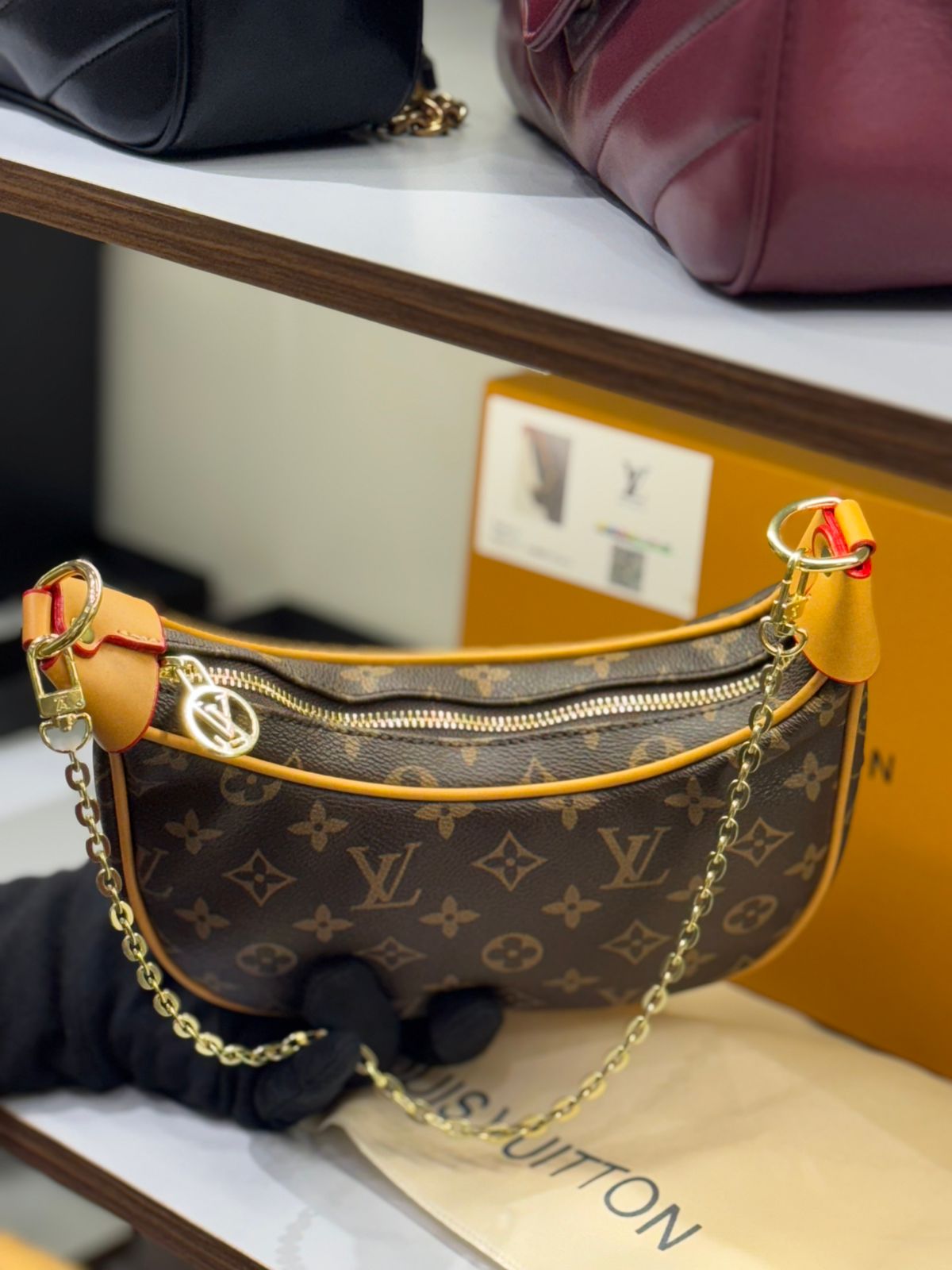 LOUIS VUITTON LOOP HOBO – Women Bag | Monogram & Monogram Reverse Canvas (Beige Brown)