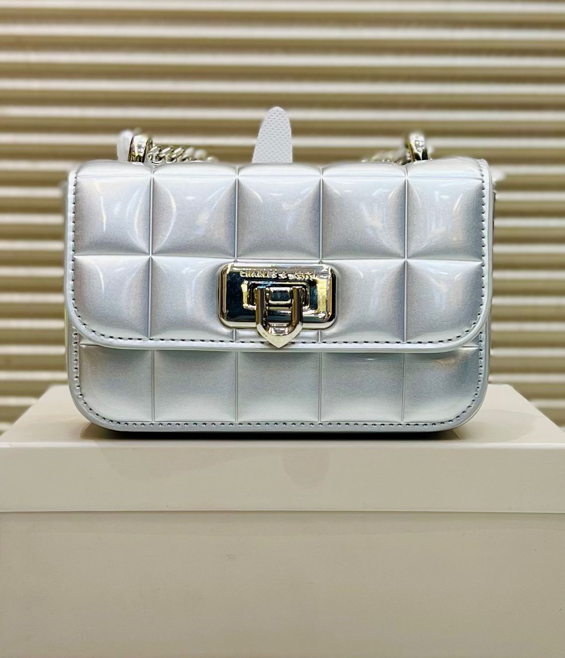 CHARLES & KEITH – Women Bag | New Design Official Model | Premium Quality (Silver)