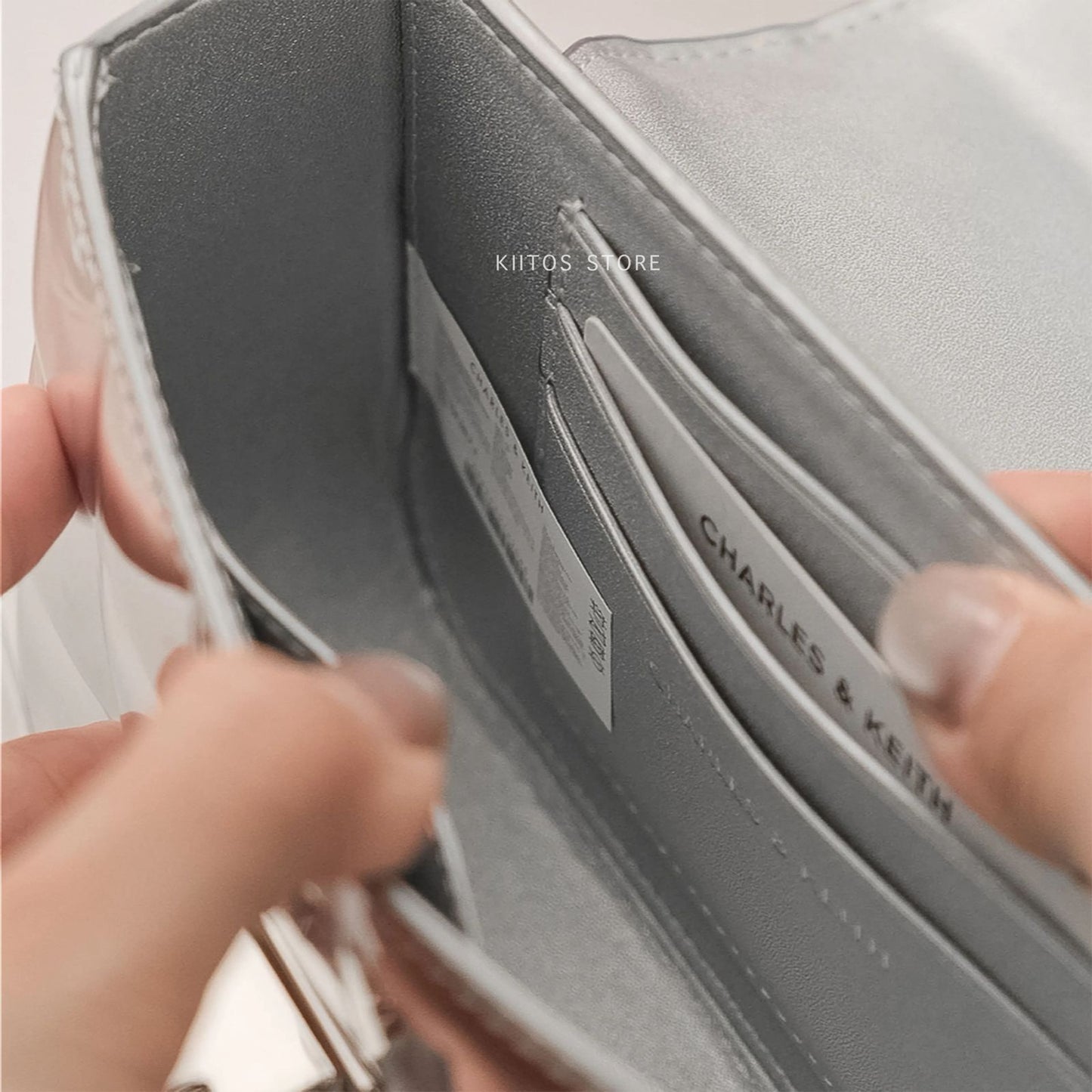 CHARLES & KEITH – Women Bag | New Design Official Model | Premium Quality (Silver)