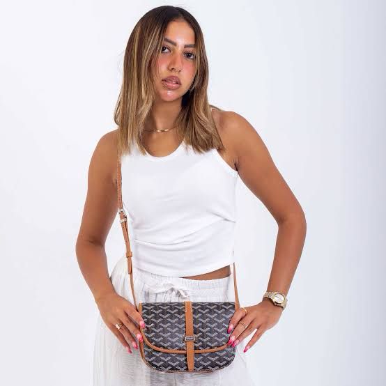 GOYARD Belvedere PM Women Bag – Crossbody Designer Luxury (Brown Black)