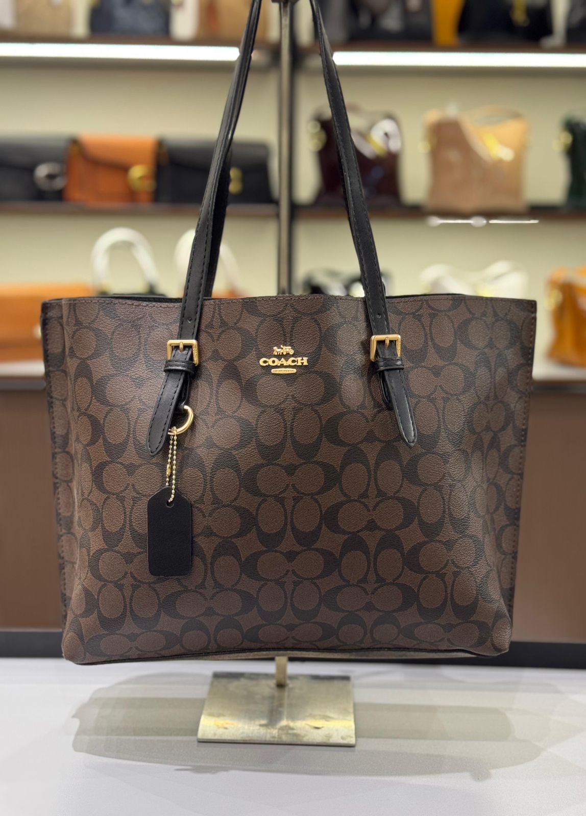 C-O-A-C-H MOLLIE TOTE – Women Bag (Brown)