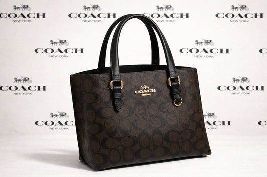 C-O-A-C-H Women Bag – Master Quality Edition (Brown/Black)