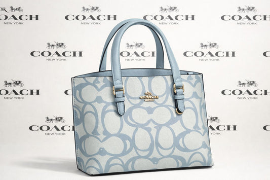 C-O-A-C-H Women Bag – Master Quality Edition (Blue)