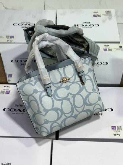 C-O-A-C-H Women Bag – Master Quality Edition (Blue)