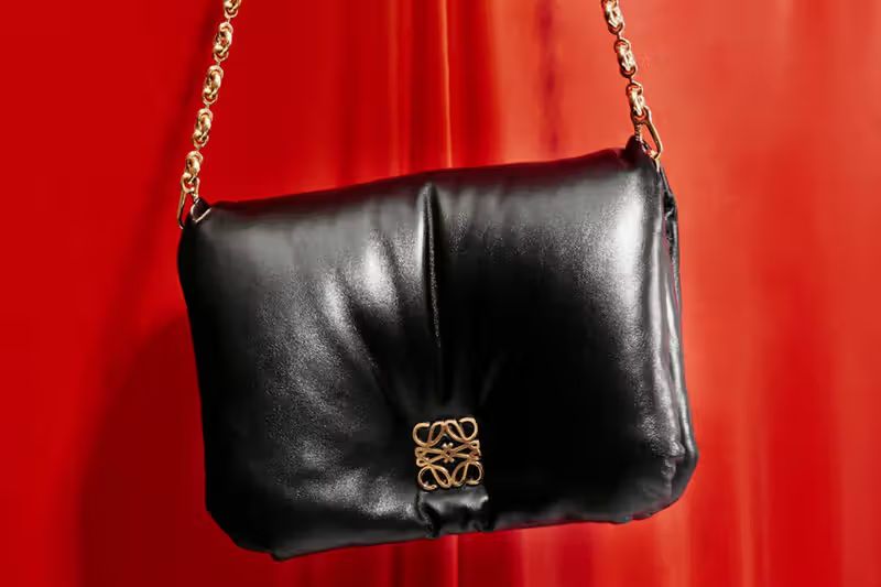 L-O-E-W-E Goya Puffer Shoulder Women Bag – Luxury Edition (Black)