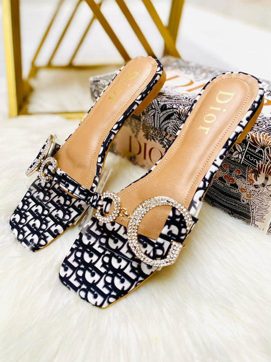 Dior D Buckle Women Slippers with Brand Box