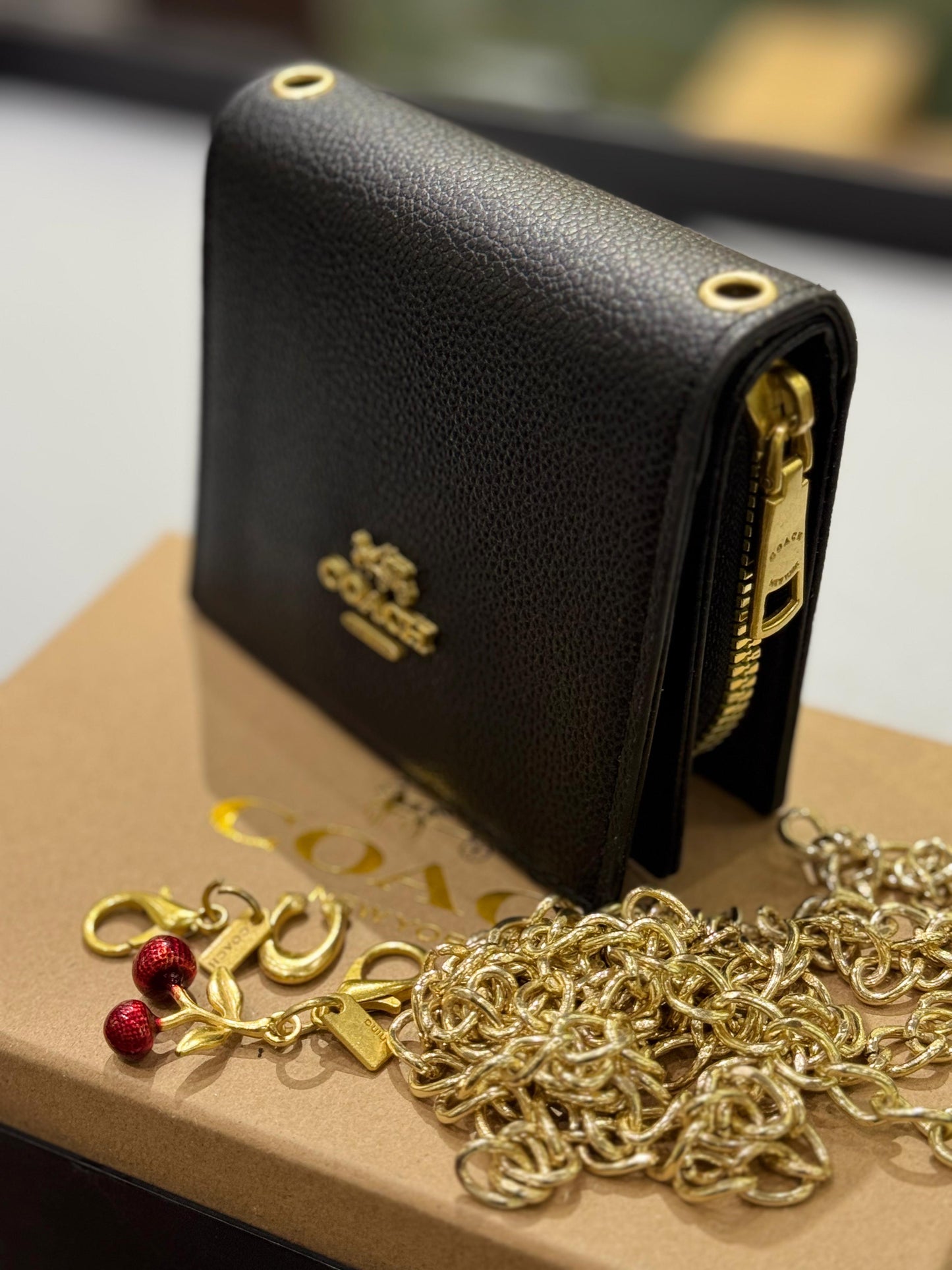 C-O-A-C-H BOXED MINI WALLET ON A CHAIN – Women Bag (Black Design B)