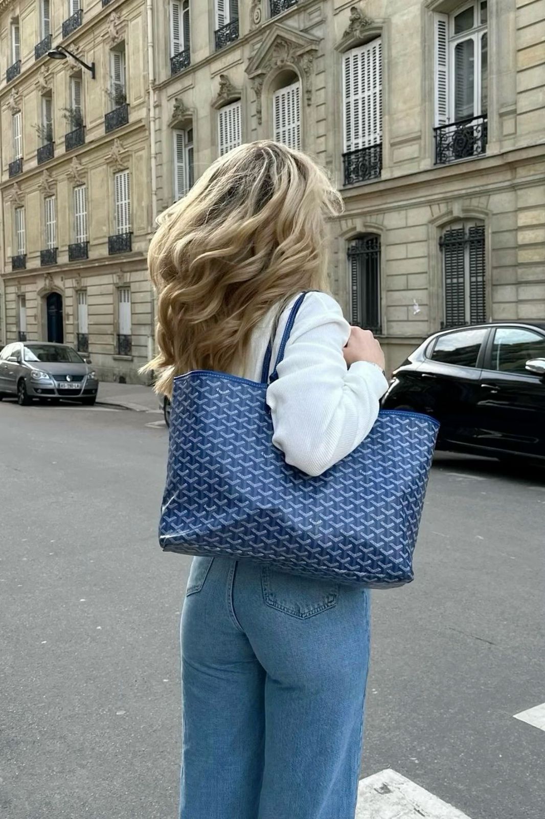 GOYARD Tote 2-Pcs Set – Luxury Women Bag with Pouch (Blue)