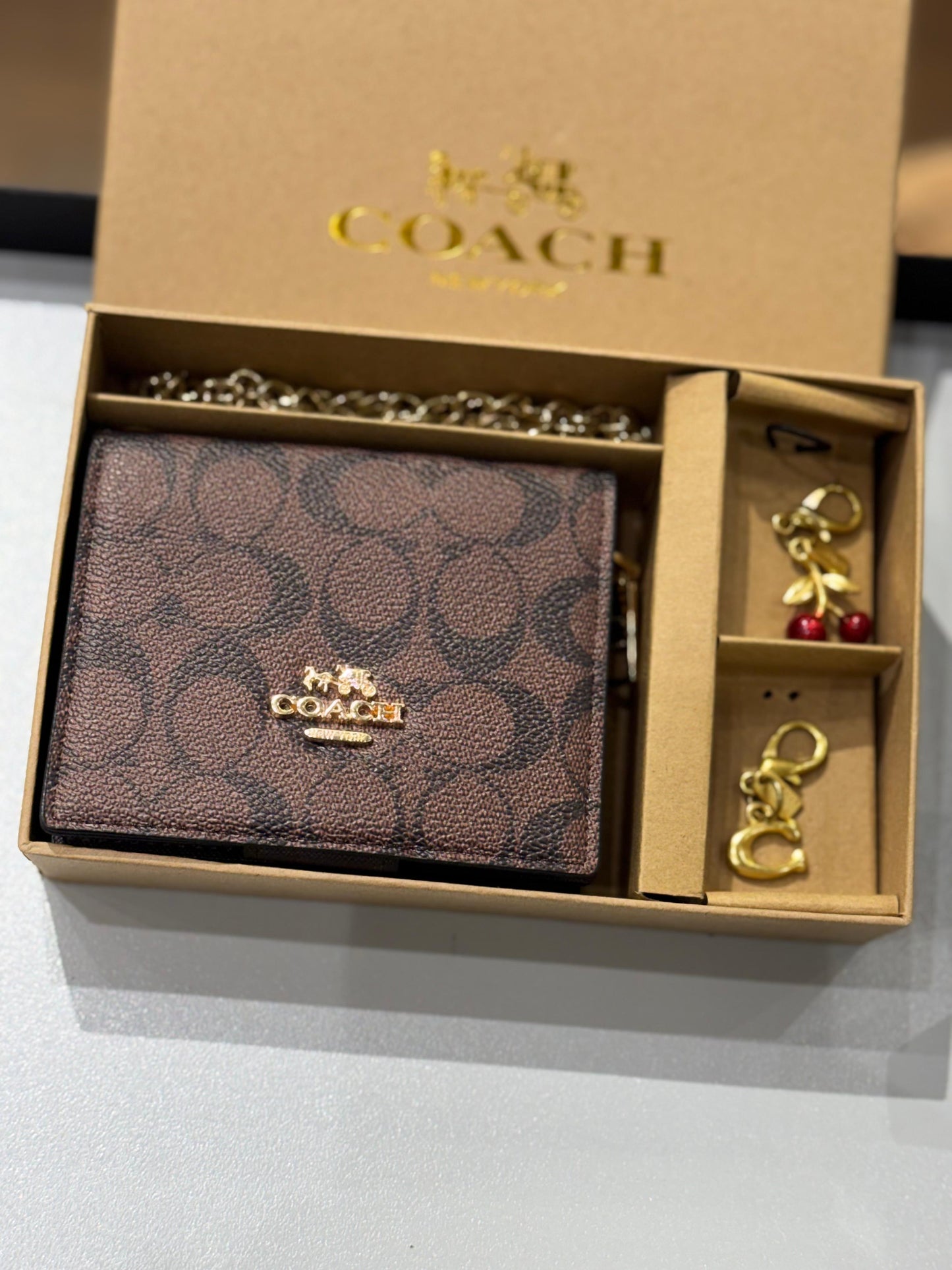 C-O-A-C-H BOXED MINI WALLET ON A CHAIN – Women Bag (Brown Black)