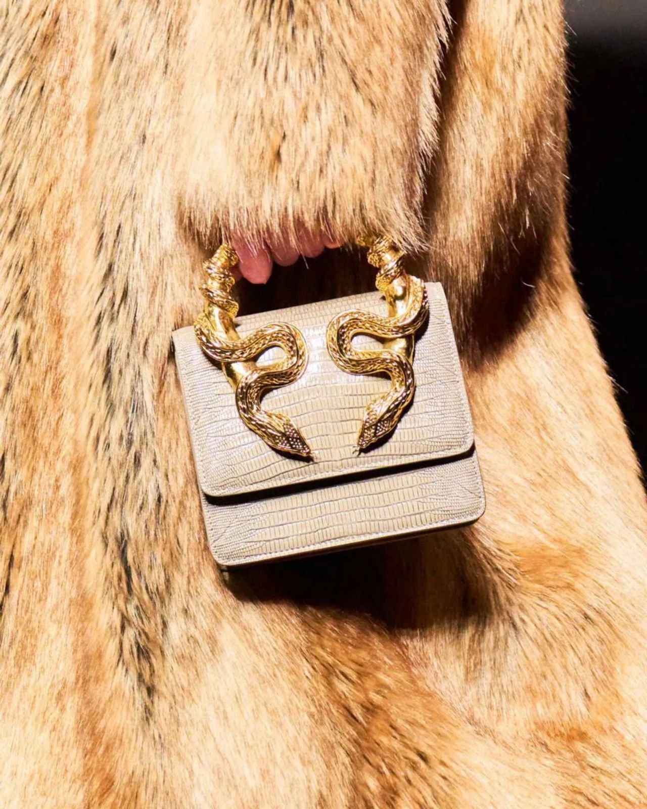 ROBERTO CAVALLI Women Bag – Borsa Bordeaux Con Serpenti | Premium Medium Shoulder & Hand Carry (Cream)