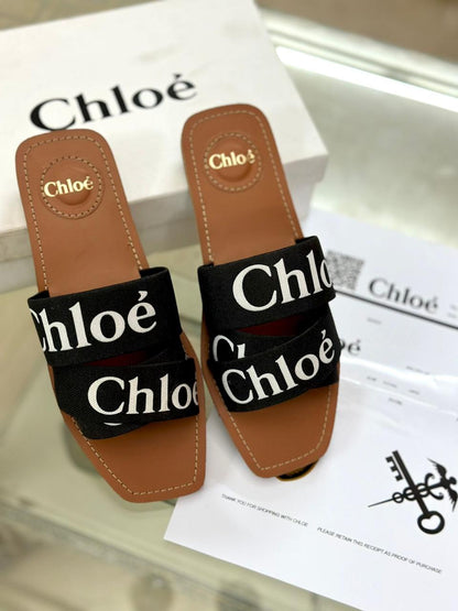 Chloé-Inspired Flats – Available in 3 Beautiful Colors (Black)