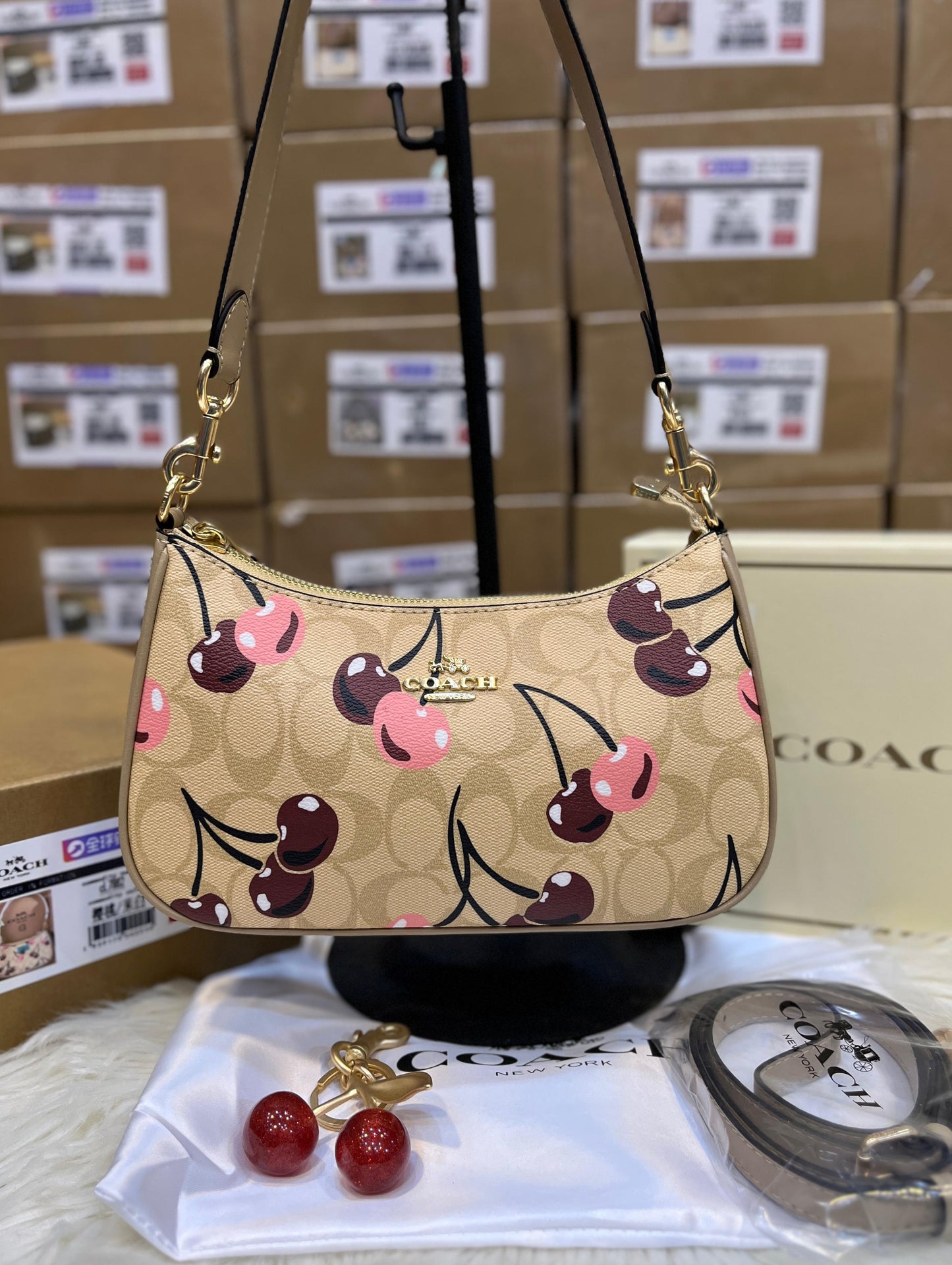 C-O-A-C-H Teri Shoulder Women Bag in Signature Canvas (Fruit Design C) Beige