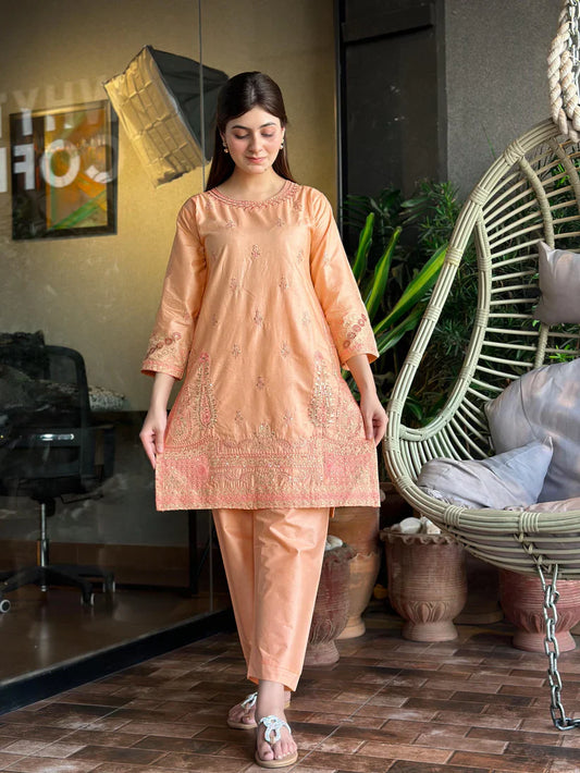 " DILARA " 2Pcs Stitched Embroidered (Light Peach)