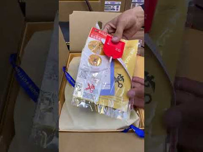 L-O-U-I-S V-U-I-T-T-O-N Express PM Premium Women Bag – Master Quality (Taupe)