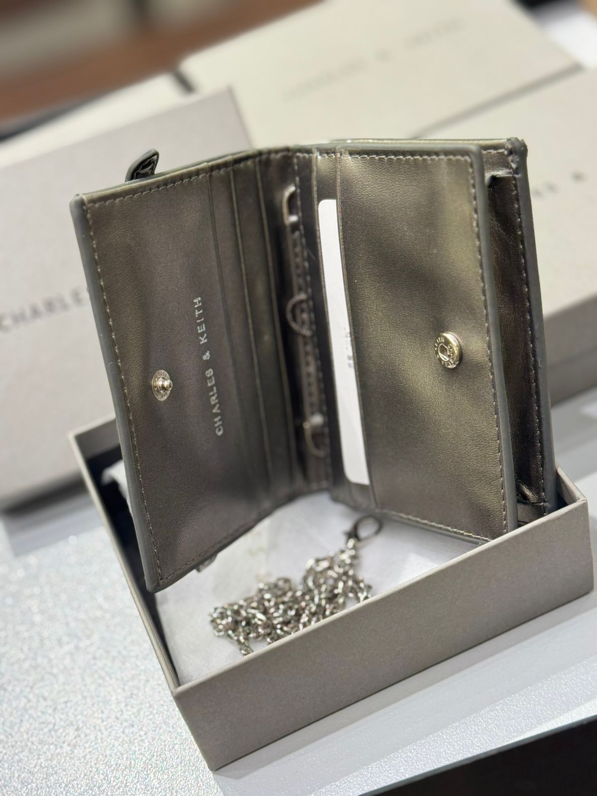 CHARLES & KEITH SLOANE METALLIC CHAIN-HANDLE WALLET – Women Bag (Silver)