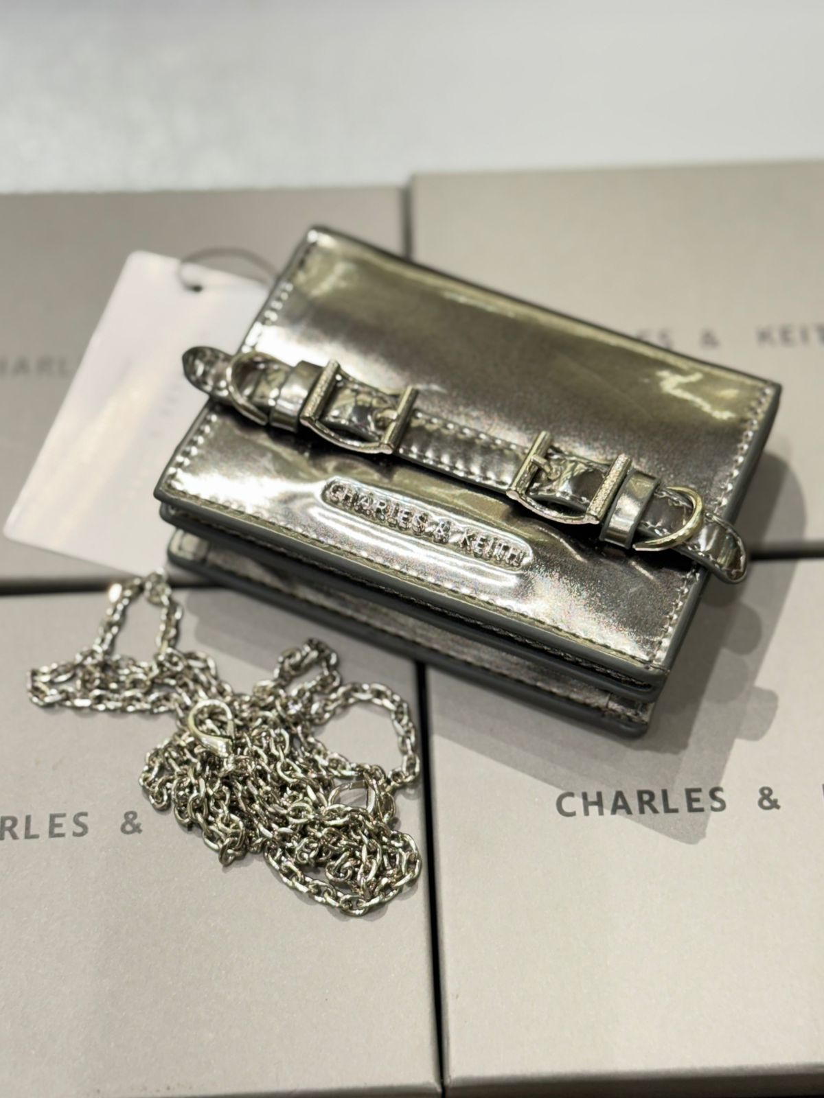 CHARLES & KEITH SLOANE METALLIC CHAIN-HANDLE WALLET – Women Bag (Silver)