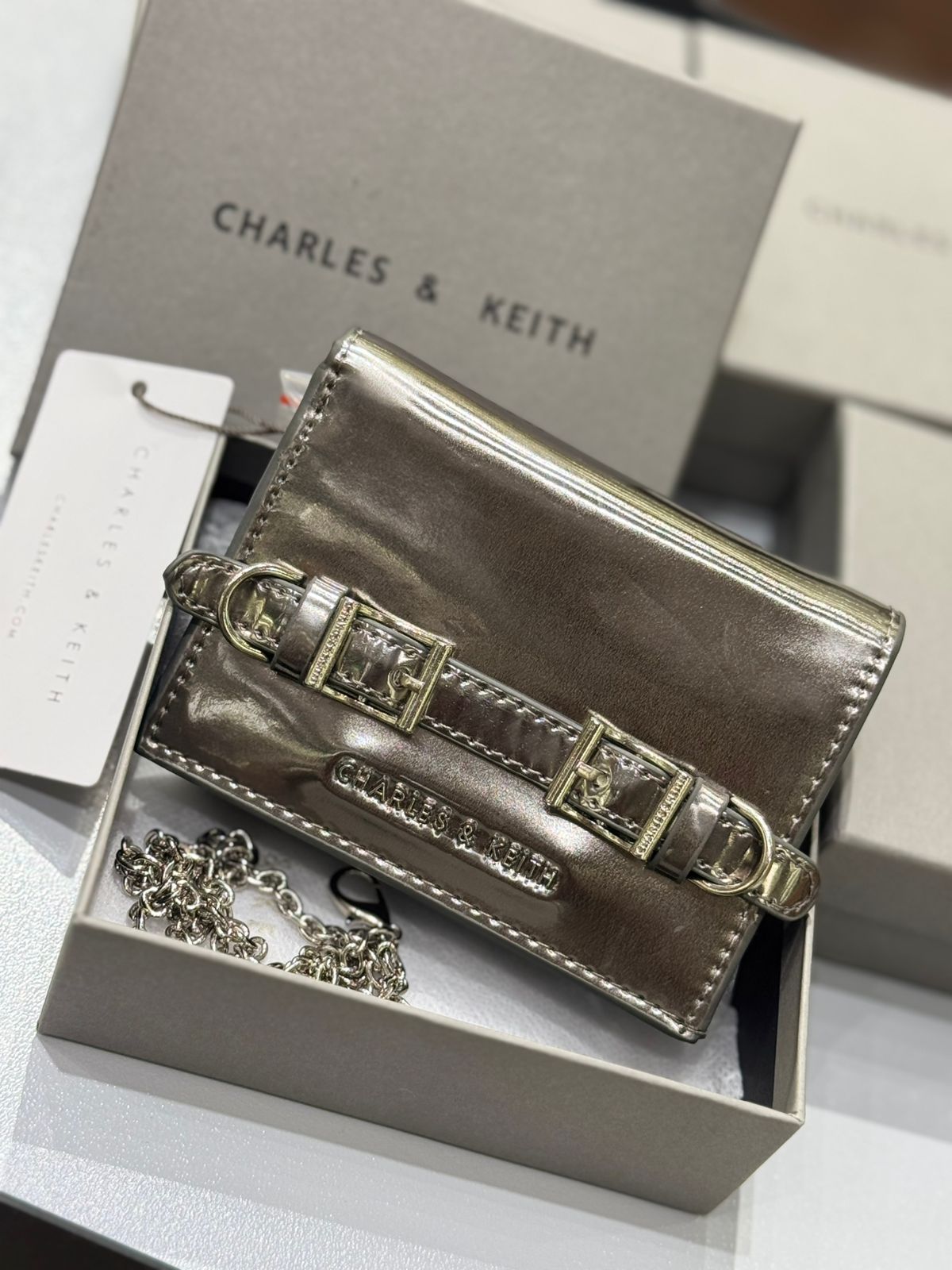 CHARLES & KEITH SLOANE METALLIC CHAIN-HANDLE WALLET – Women Bag (Silver)