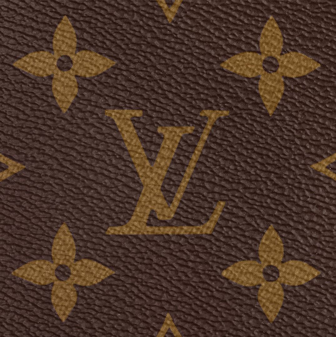 Louis Vuitton Women's Multi Pochette Accessoires Bag (Brown)